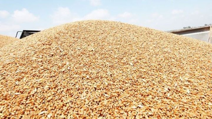 "İranla Azərbaycanı bağlayan dəmir yolu ilə taxıl ixrac edəcəyik"