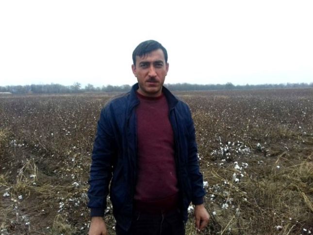 3 hektarda pambıq əkən 5 min manat qazanır