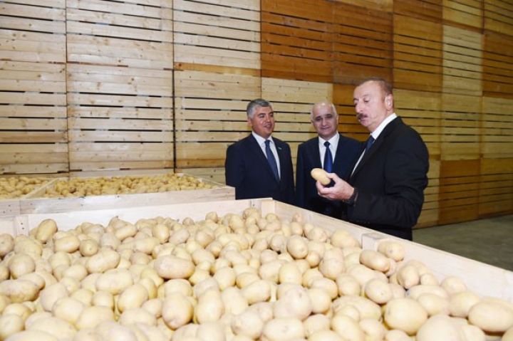İlham Əliyev aqroparkın açılışında 