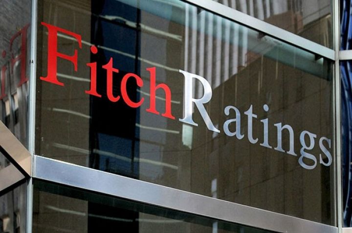 "Fitch" agentliyi "Petkim"in istiqrazlarının reytinqini təsdiq edib