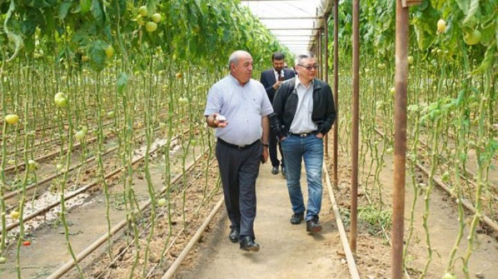 Rusiya şirkətləri Azərbaycan məhsullarını satmaq istəyirlər