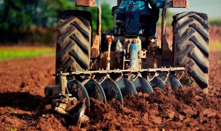Azərbaycanda aqrar sığorta könüllü olacaq
