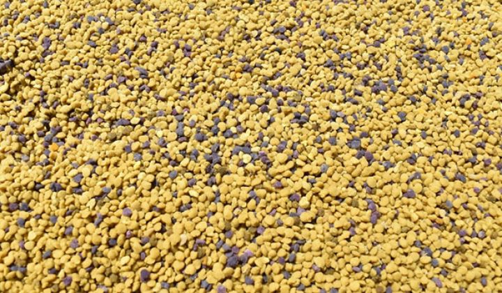 "Tələbat getdikcə artır, 100 qramını  7-10 manata satırıq"