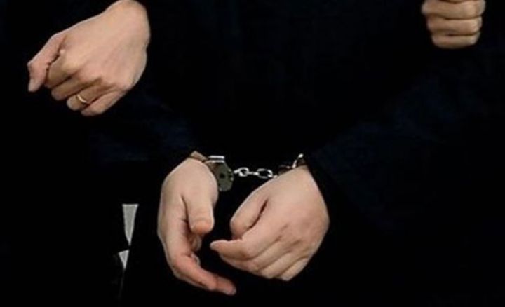 Türkiyədən mallar idxal edən şirkətin rəhbəri həbs edildi -  10 MİLYON MANATLIQ ŞÜBHƏLƏR