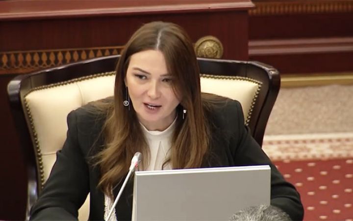 "Bəzi məmurlar var ki, danışanda üslublarına diqqət yetirsinlər"