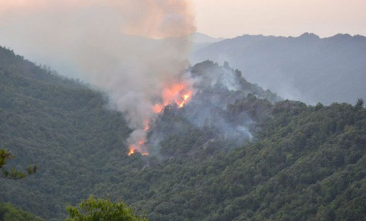Qəbələdə və Xaçmazda yanğınlar tam söndürülüb