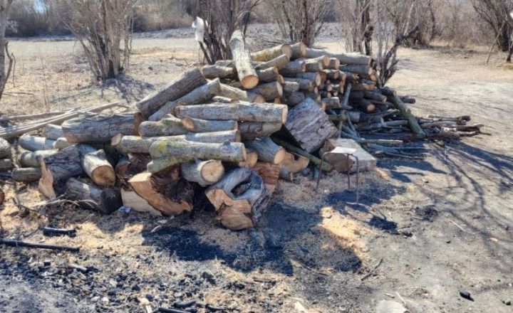 Kömür istehsal edən 2 ocaqxananın fəaliyyəti dayandırılıb