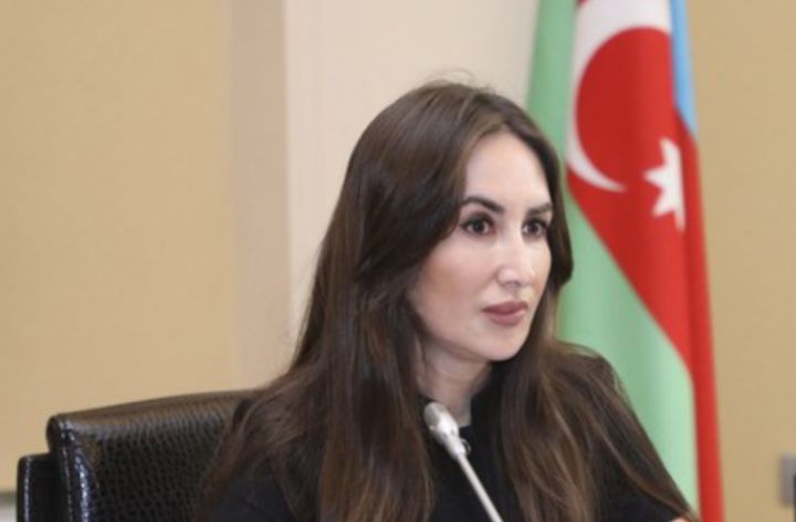 Daşınmaz əmlakla bağlı vahid elektron portal istifadəyə veriləcək