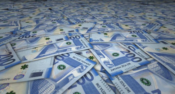 Dövlət Agentliyi qiymətli kağızlara 205 milyon manat yatırıb, 11,5 milyon manat gəlir əldə edib