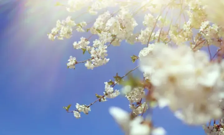 Aprelin 22-də gözlənilən hava şəraiti