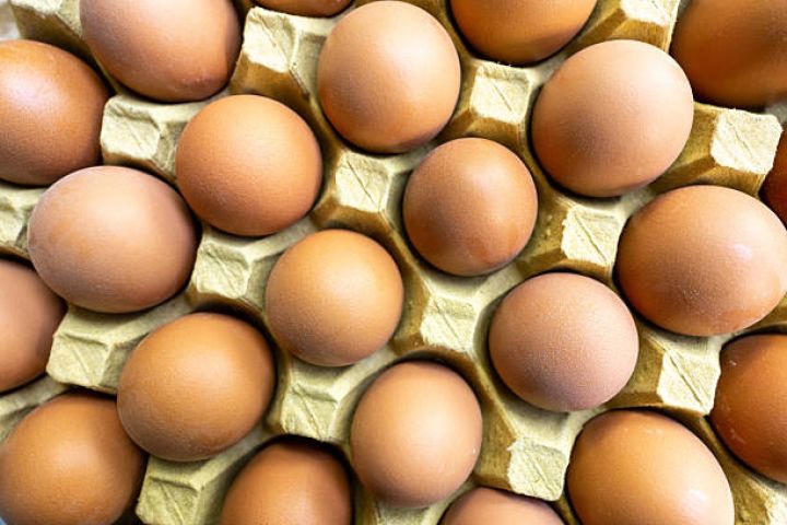 Azərbaycan yumurta ixracını müvəqqəti dayandırıb