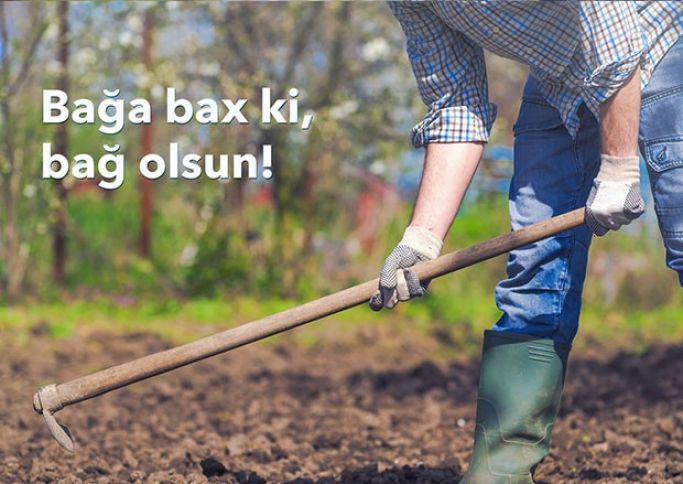 Kənd təsərrüfatı sektoruna AccessBank-dan növbəti dəstək!