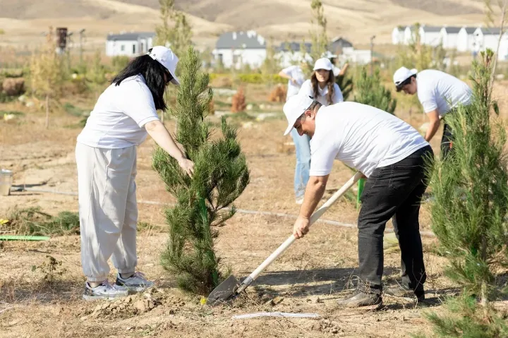 “AzInTelecom” Ağdamda ağacəkmə aksiyası keçirib