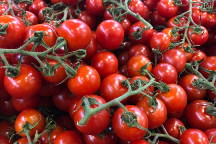 Azərbaycan istehsalçılarının xaricə pomidor satışından gəliri azalıb