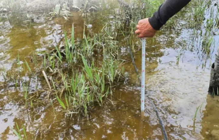 Güclü yağış nəticəsində 2100 hektara əkinə zərər dəyməsi barədə müraciətlər qeydə alınıb